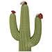 Cactus Decorativo In Resina Multicolore Grande - Foto miniatura 4