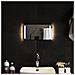 Specchio Da Bagno Con Luci Led 40x20 Cm - Foto miniatura 1
