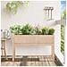 Fioriera Giardino Con Gambe 110x31x70 Cm Legno Massello Pino - Foto miniatura 2