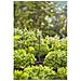 Tubo Di Prolunga Micro-drip-system 13326-20 13 Mm 20 Cm 5 Unità - Foto miniatura 3
