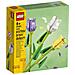 40461 Tulipani - Foto miniatura 1