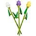 40461 Tulipani - Foto miniatura 2