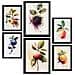 Set Di 6 Stampe Poster Di Frutti Di Bosco E Pesche Con Frutta, Verdura E Cibo Sano In Acquerelli Su Sfondi Bianchi Puri A3 & A4 Senza Cornice - Foto miniatura 1