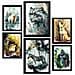 Set Di 6 Stampe Illustrazioni Di Animali In Paesaggi Naturali Del Nord E Del Sud, Design D'interni Realistico In Stile Acquerello A3 & A4 Cornice Nera - Foto miniatura 1
