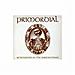 Primordial - Redemption At The Puritans Hand - Foto miniatura 1