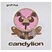 Gruff Rhys - Candylion - Foto miniatura 1