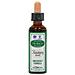 Ainsworths Recov Plus 20ml - Foto miniatura 1