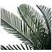 Palma Di Cycas Artificiale Con Vaso Verde 125 Cm - Foto miniatura 2