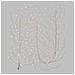 Ramo Climber Tiglio Bianco 504 Microled Flashled 4m+300cm Luci Di Natale - Foto miniatura 3