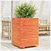 Fioriera Giardino Marrone Cera 50x50x72 Cm Legno Massello Pino - Foto miniatura 1
