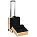 Valigia Trolley Per Cosmetici 35x29x45 Cm Oro In Alluminio - Foto miniatura 2