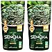 Tè Verde Sencha Giapponese Biologico 170 G - Foto miniatura 1