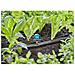 Microirrigatore Micro-drip 13324-20 13 Mm - Foto miniatura 2