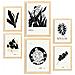 Set Di 6 Stampe Stampe Artistiche In Stile Schizzo Con Inchiostri Tropicali E Inchiostro Nero Per L'interior Design A3 & A4 Telaio In Legno Chiaro - Foto miniatura 1