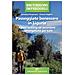 Annalisa Porporato - Passeggiate benessere in Liguria. «Forest bathing» ed escursioni bioenergetiche per tutti - Foto miniatura 1