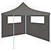 Parete Con Finestre Per Gazebo 6x2 M Antracite - Foto miniatura 2