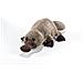 Peluche Ornitorinco Della Tasmania Plush & Company 15760 - Foto miniatura 1