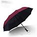 Ombrello Pieghevole Automatico - 10 Stecche Colla Nera Darkred - Foto miniatura 1