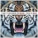 30 Seconds To Mars - This Is War (Cd+Lp)  - Foto miniatura 1