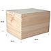 Xxl Grande Scatola Legno Con Coperchio | L40 X P30 X H24 Cm (+ / - 1) | Conteniore Per Documenti Attrezzi Portaoggetti Portagiochi Non Verniciato Da Decorare | Ruvido E Non Levigato - Foto miniatura 3