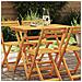 Tavolo da Giardino Pieghevole Rettangolare 100x55x75 cm Legno Massello di Acacia - Foto miniatura 2