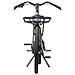 E-bike C3 Cargo Long Velocità 25 km /h Autonomia 50km Potenza 250W Colore Blu - Foto miniatura 2