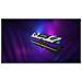 FURY 32GB 8000MT /s DDR5 CL38 DIMM (Kit da 2) Renegade RGB XMP - Foto miniatura 16