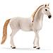 Box per Cavalli con Lusitano Cavalli - Foto miniatura 2