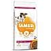 Iams Dog Base Senior Small Medium Chicken - Foto miniatura 1