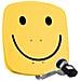 DIGIDISH 45 antenna per satellite 9,75 - 10,7 GHz Giallo - Foto miniatura 2