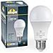 Lampadina LED E27 A60 - 11W - CCT - - Foto miniatura 1