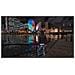 Xbox X - Lost Judgment - Foto miniatura 6