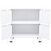 Armadio Classificatore Industriale Bianco 75x40x80cm In Acciaio - Foto miniatura 6