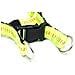 Pettorina Per Cani Regolabile E Resistente Modello Color Doggy L Verde Fluo - Foto miniatura 2