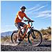 Bici Elettrica S800 250w 36v 13ah 7 Velocità Shimano 26 Pollici - Ammortizzatore, Freni A Disco, Batteria Estraibile - Foto miniatura 7