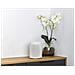 Diffusore Wireless MusicCast 20 WX-021 Potenza Totale 40W Bluetooth Wi-Fi Colore Bianco - Foto miniatura 9