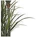 Pianta Artificiale In Vaso 198 Cm Dracaena Anita - Foto miniatura 3