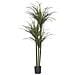 Pianta Artificiale In Vaso 198 Cm Dracaena Anita - Foto miniatura 5