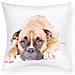 Set Di 2 Copricuscini 40x40 Cm Design Cane Boxer - Foto miniatura 1