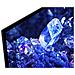 TV OLED Ultra HD 4K 42 "XR42A90KAEP Android TV - Foto miniatura 6