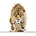 4S Vision Wild Cats Puzzle 3D Fauna - Foto miniatura 2