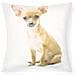 Set Di 2 Copricuscini 40x40 Cm Design Chihuahua - Foto miniatura 1