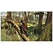 Assassin's Creed 3 + Assassin's Creed Liberation Remaster Giocox Switch - Foto miniatura 3