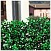 Divy 3d Panel Buxus Intense Siepe Sintetica Con Foglie Di Bosso Di Color Verde Intenso In Moduli Componibili - 0,50 X 1 M - Foto miniatura 2