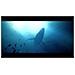 Under The Waves PlayStation 5 - Foto miniatura 5