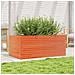Fioriera Giardino Marrone Cera 110x60x46 Cm Legno Massello Pino - Foto miniatura 3