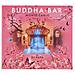 Buddha Bar - Monte Carlo (2 Cd)  - Foto miniatura 1