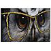 Dipinto Su Tela Edvy Gufo Hipster Con Cornice, 53x73 Cm - Foto miniatura 3