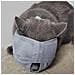 Museruola Per Gatti: Maschera Traspirante Anti-morso E Per Toelettatura Grey L - Foto miniatura 3
