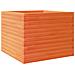 Fioriera Giardino Marrone Cera 60x60x45,5cm Legno Massello Pino - Foto miniatura 2